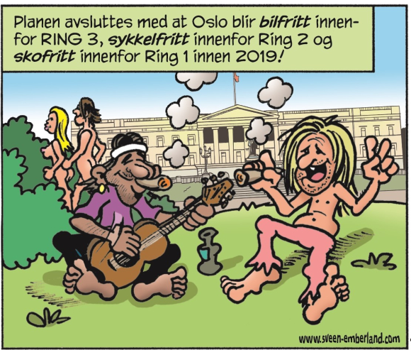 Full effekt av de grønnes innsats i Oslo kommune oppnås i 2018, ifølge Sveen & Emberland.