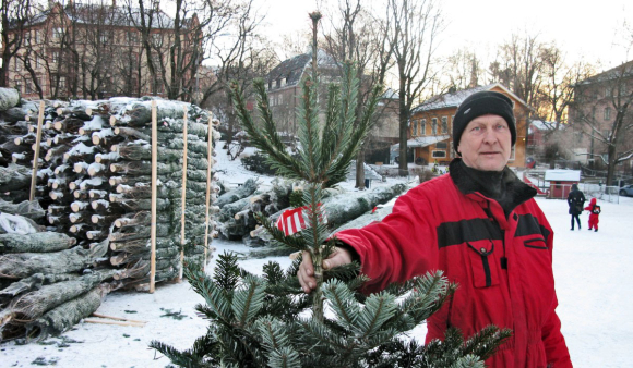 Svein Erik Berge har solgt juletre på Vestkanttorget de siste ti årene. I år har han 1000 trær klar til leveranse til faste og nye kunder.  Foto: Magne Otterdal